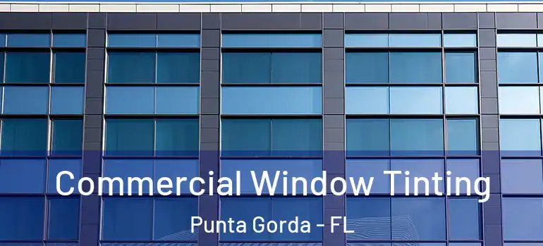  Commercial Window Tinting Punta Gorda - FL