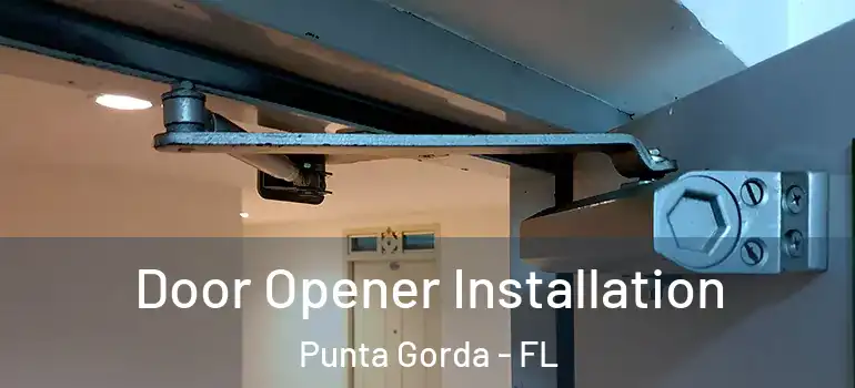  Door Opener Installation Punta Gorda - FL