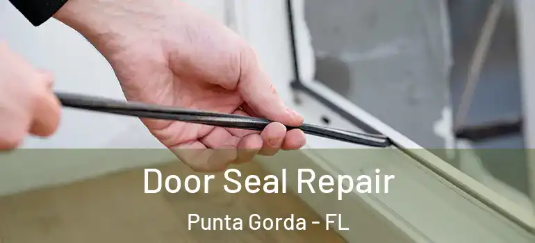  Door Seal Repair Punta Gorda - FL