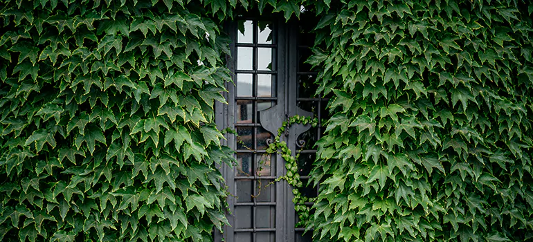 Garden Gate Repair in Punta Gorda, FL