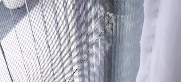 Fixing Screen Window Mesh in Punta Gorda, FL