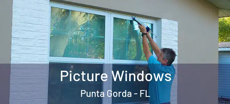  Picture Windows Punta Gorda - FL