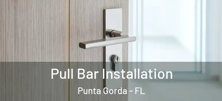  Pull Bar Installation Punta Gorda - FL