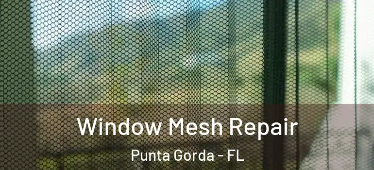  Window Mesh Repair Punta Gorda - FL